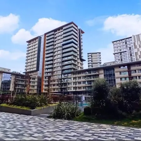 Cap 41 * Стамбул